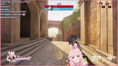 Based pink rabbit