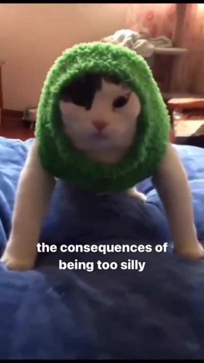 he got to silly