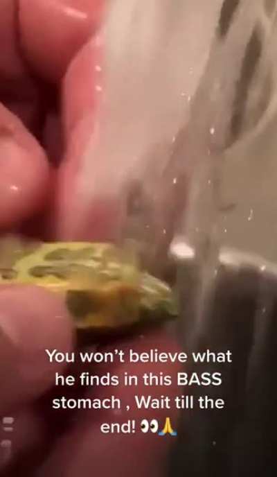 Somehow this little guy survived