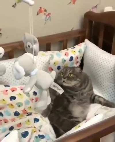 Am I next?