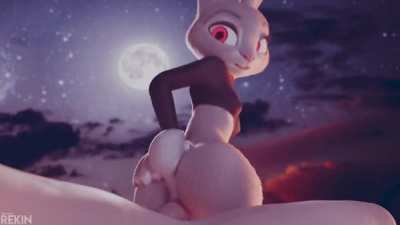 Bouncy Bunny! [MF] (Rekin3D)
