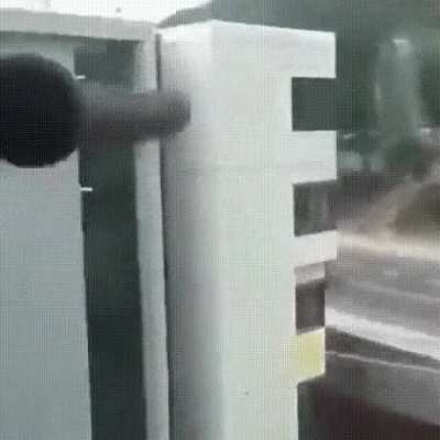 Nice shot