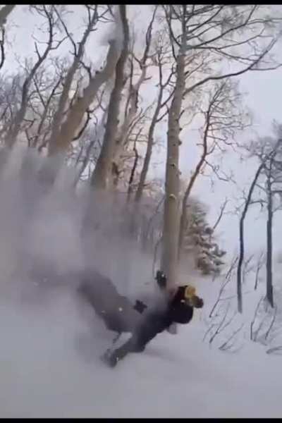 Full stop in a tree