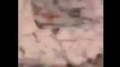 Dava para um filme (ninguém teve grave ferimentos)
