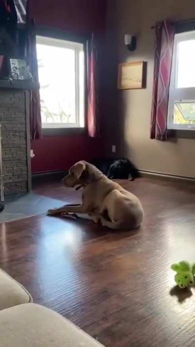 maybe maybe maybe
