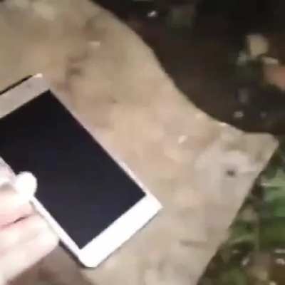 Bruh