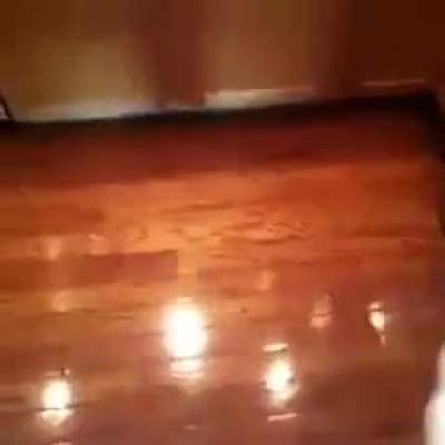 Outra opção boa pra matar essa aranha seria queimar a casa