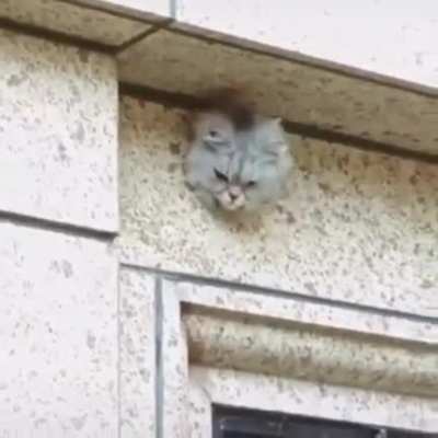 Watchful Eye