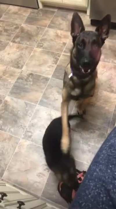 “Don’t ruin this for me kid.”