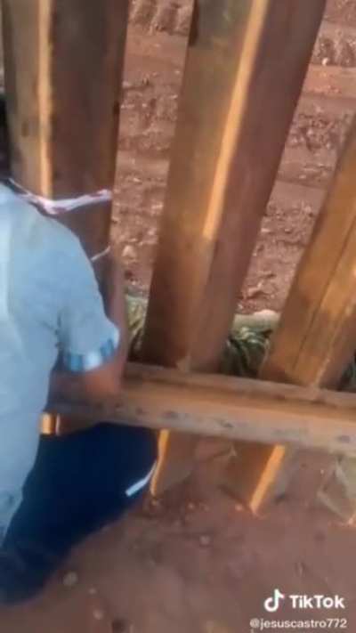 The border wall designers forgot about skinny people