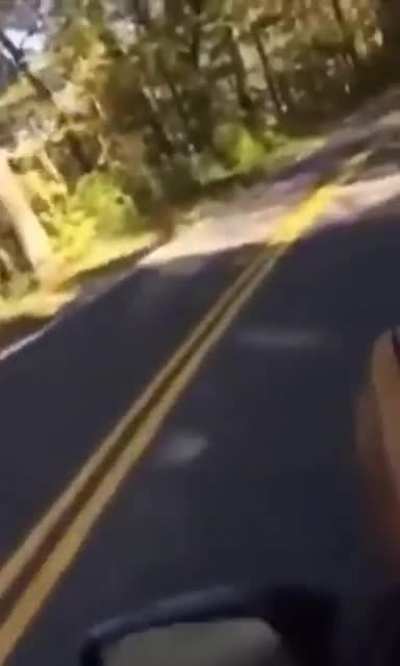 car surfing 🤟