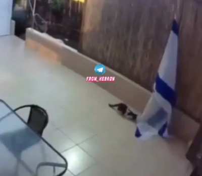 First crows. Now cats are getting rid of the apartheid flag.