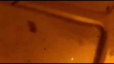 Stay away from burning vehicles