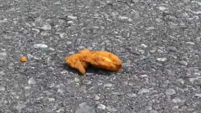 Grounded chicken.