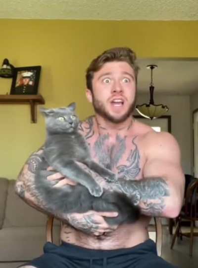 Italy cat lol