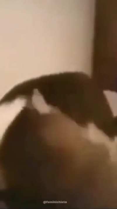 aaa