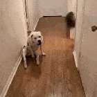 Wait for it