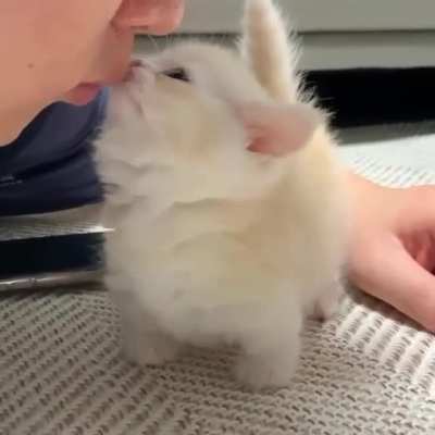 kiss