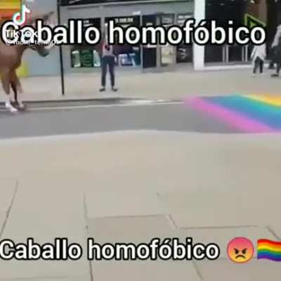 Un capo