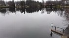 Time for a swim