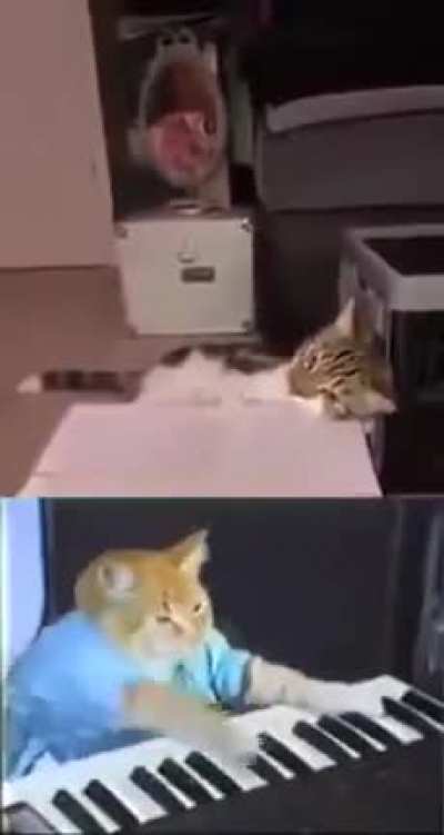Definition of internet video