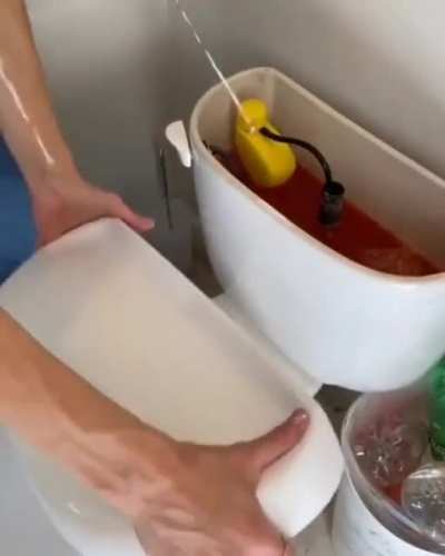 Toilet
