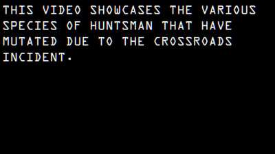 huntsman speciation