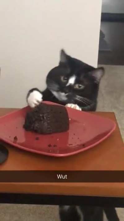 He tap for muffin