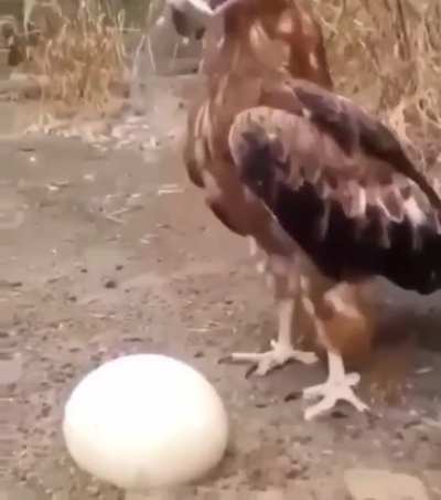 И ведь додум<wbr>ался же....