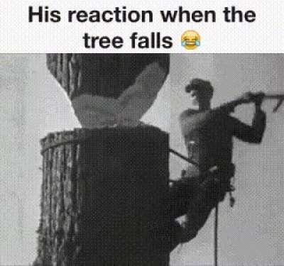 Love his reaction..