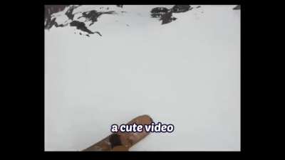 Dog go brrrrrr