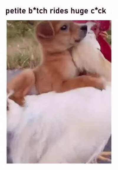Giddy Up!