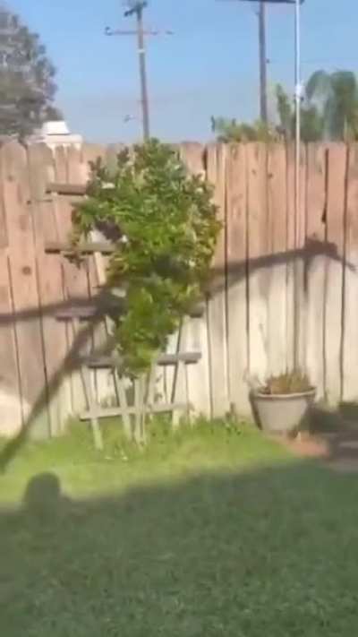me_irl