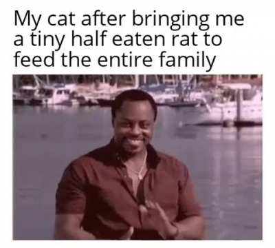 No need to thank me hoomans