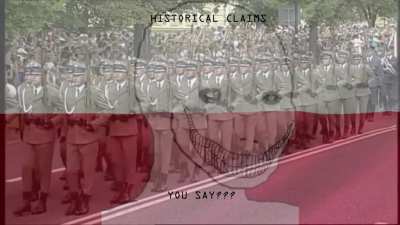 POLAND FINDS A WAY TO INTERVENE