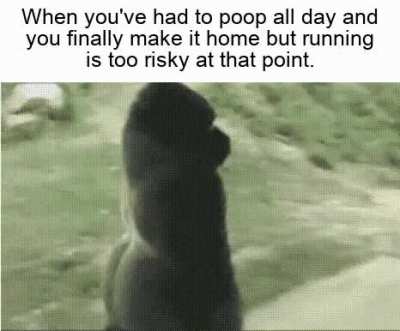 me_irl