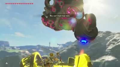 Who said we couldn't use flying machines in combat?