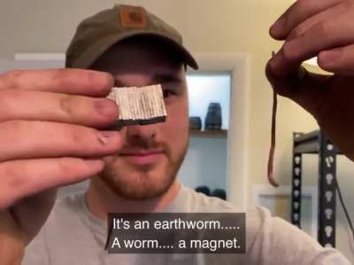 A worm