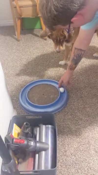 Just my husband's laugh at our dog