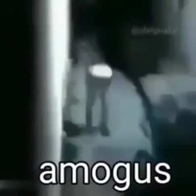 SUS