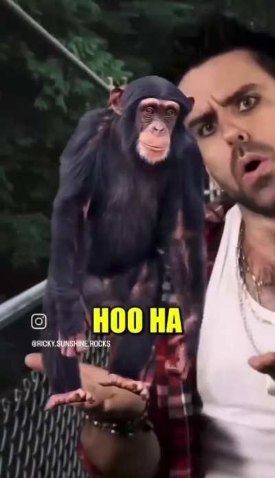 Oh ha ha oh ha ha