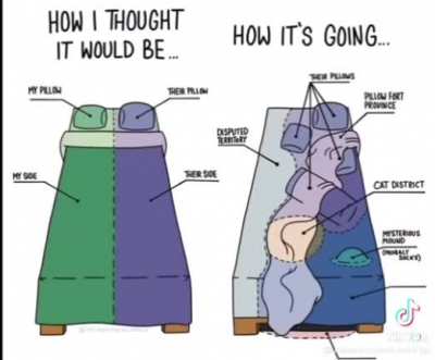 beds: the reality