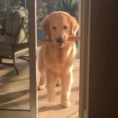'Lemme take this stick ins... hmm... ooh well'