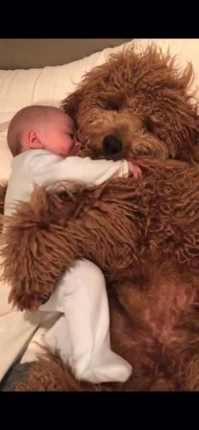 Cuddles