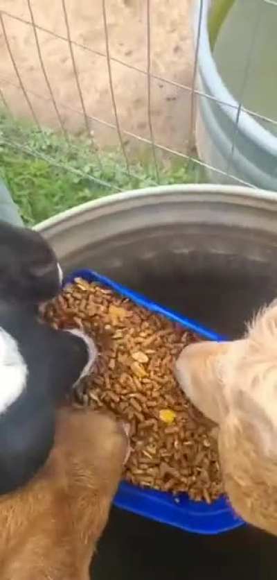 Just a loving father feeding his fam