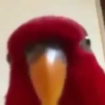 Add a title