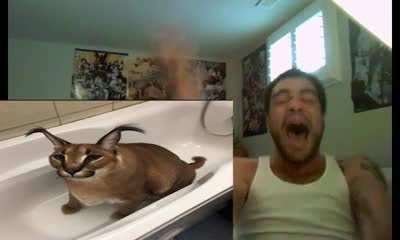 mfw I see big floppa