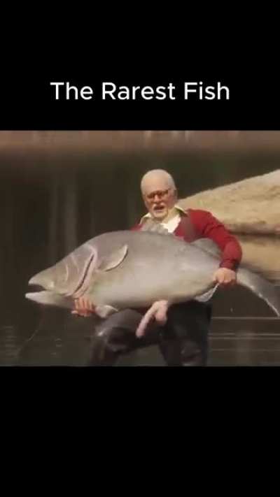 Big Fish