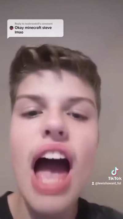 Minecraft Steve
