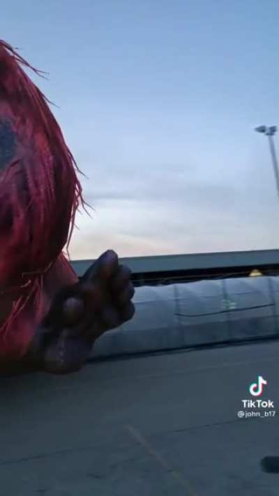 Simplemente monke